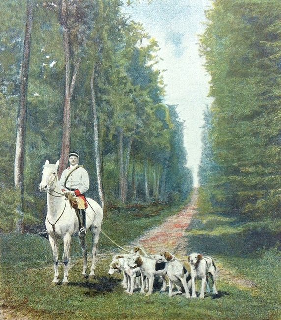 Relais de chiens de l'Equipage du marquis de l'Aigle - Le Figaro illustré - Octobre 1895 - Archives de la Société de Vènerie